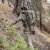 Eberlestock X1 pack Mountain 24,5L *